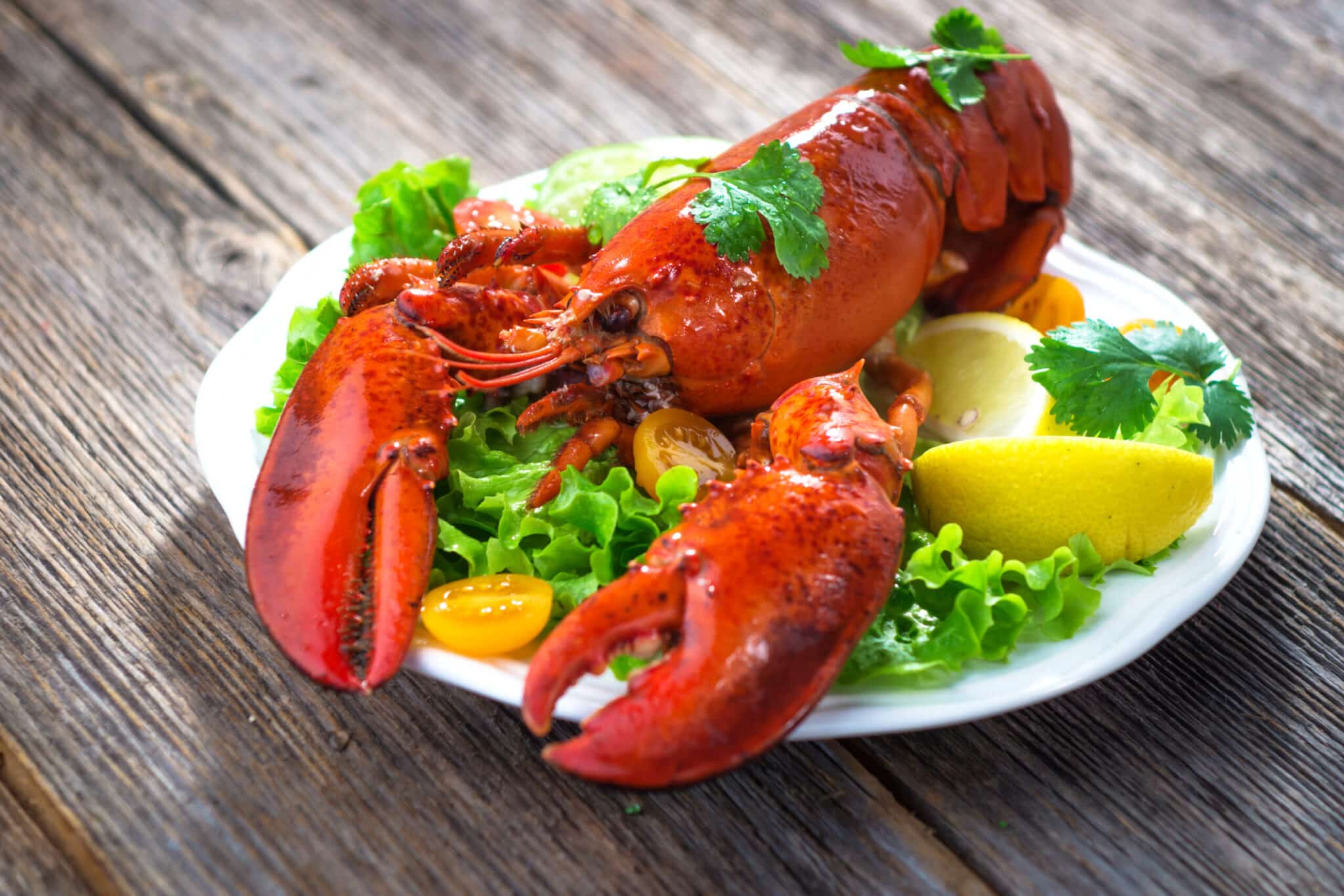 When Is Soft-Shell Lobster Season?