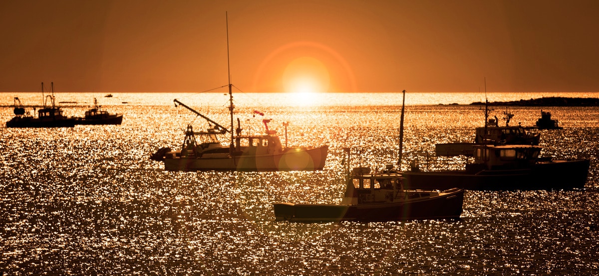 Sunset over a harbor with several fishing boats silhouetted on sparkling water.