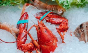 What to Expect When Ordering Live Maine Lobster