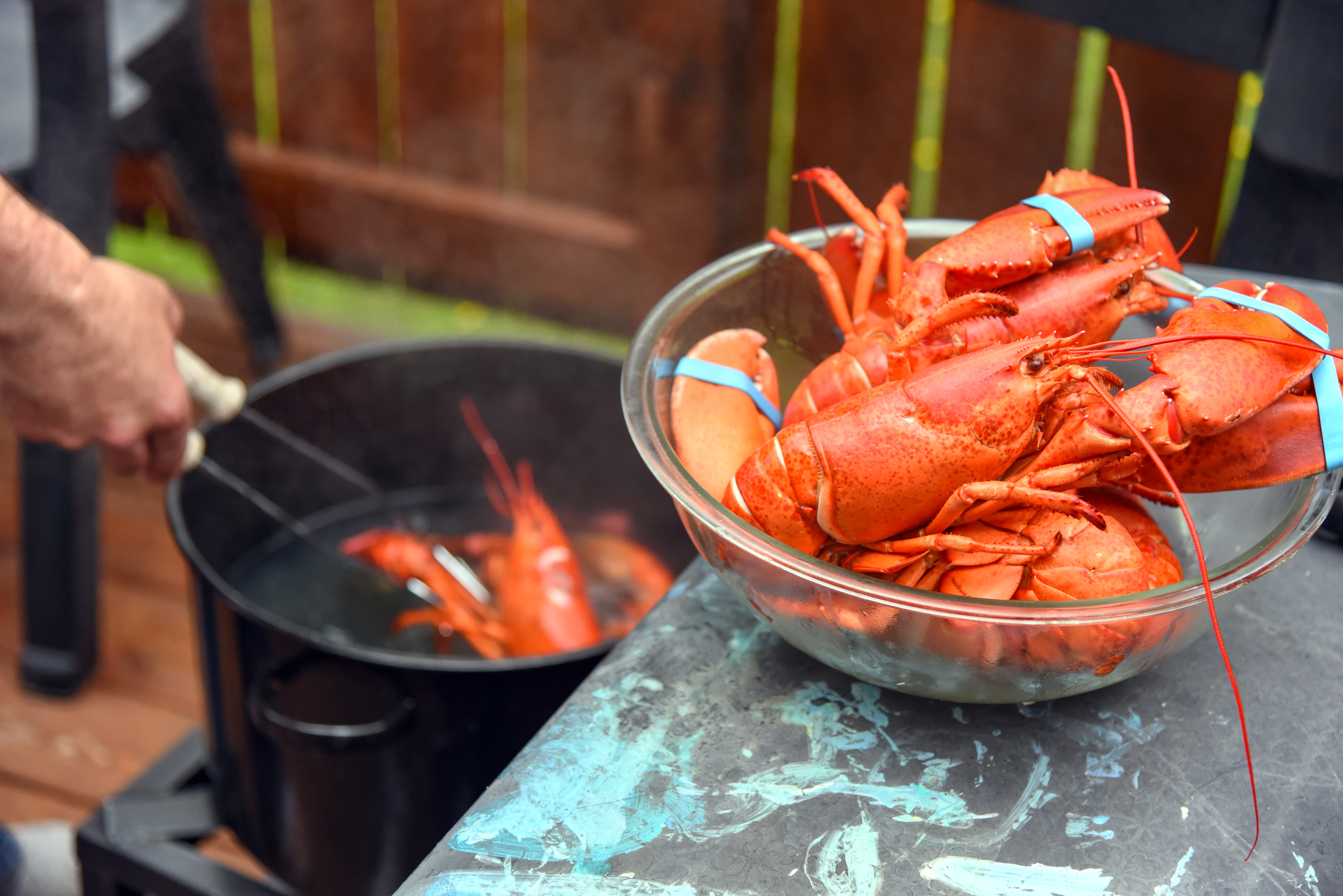 Where to Get Maine Lobster (When You Don’t Live in Maine)