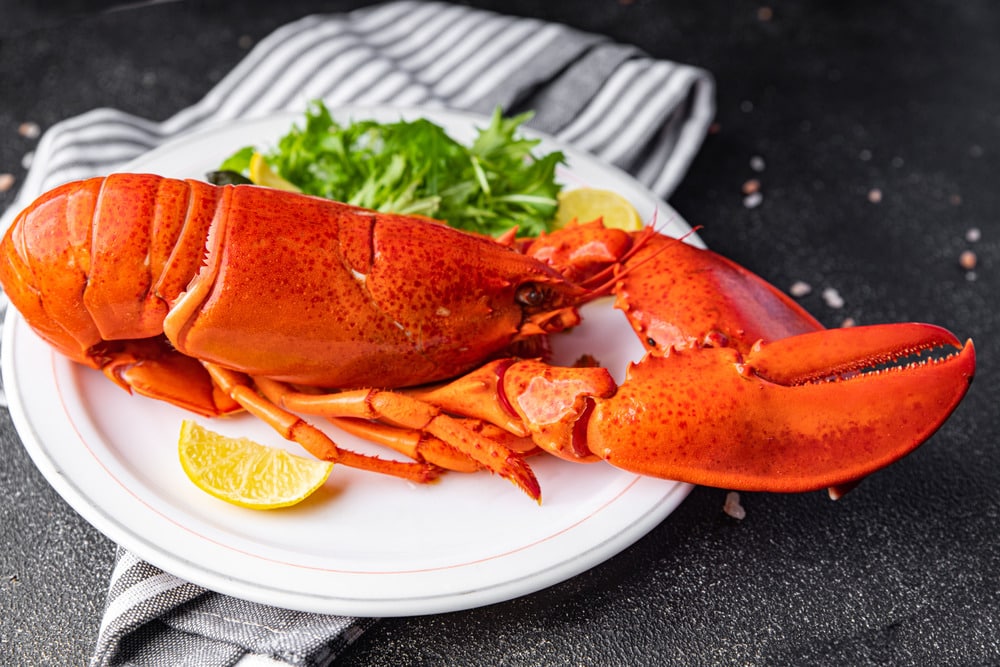 lobster pricing