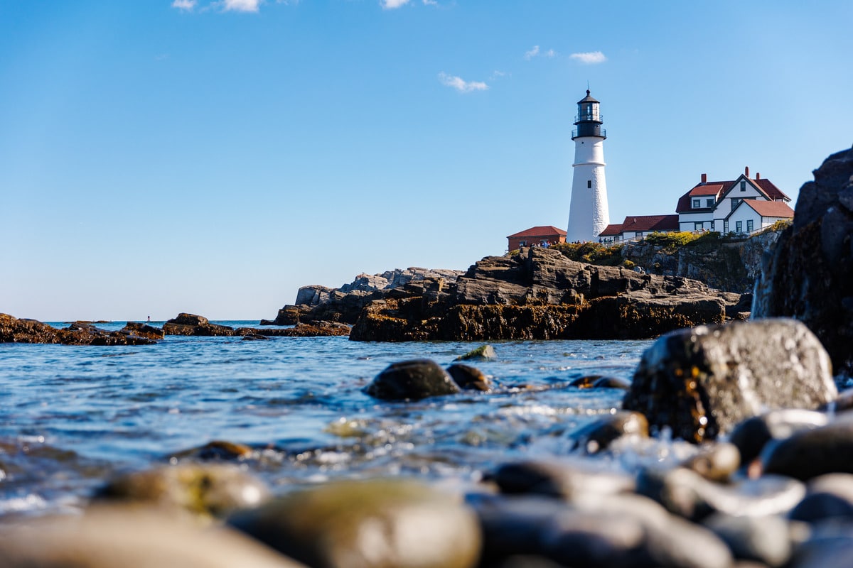 The Lifecycle of Maine Lobster: From Ocean to Plate