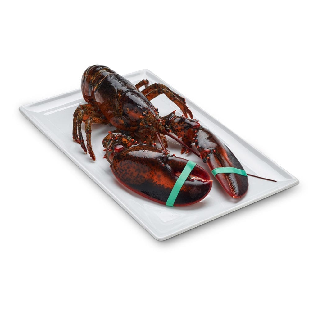 Whole Maine lobster