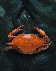 When is Crab Season in Maine?