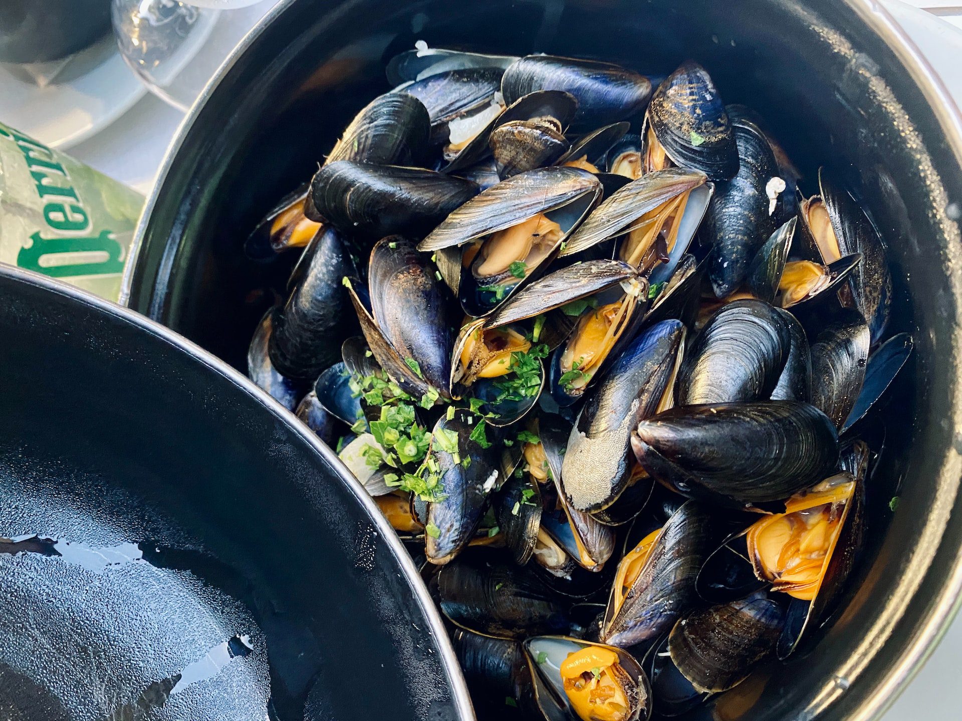 Why Choose Maine Mussels
