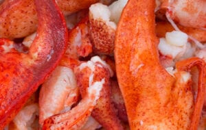 Pros and Cons of Fresh Lobster vs Frozen