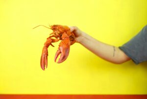 Live Lobsters Delivered Straight to Your Door- Now What?