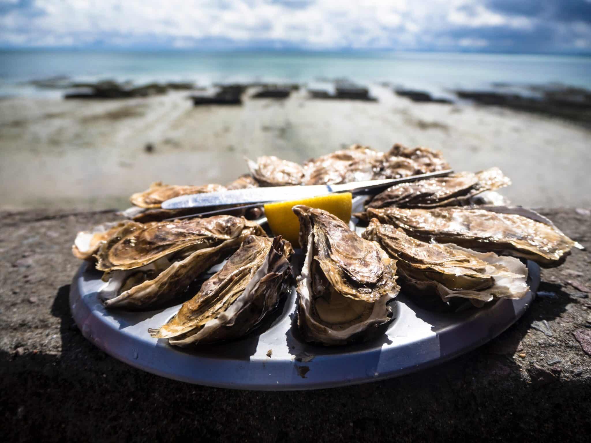 How to Shuck an Oyster and Other Truths